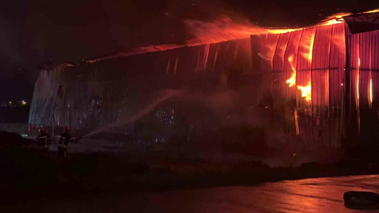 Osmaniyede karton fabrikasında yangın