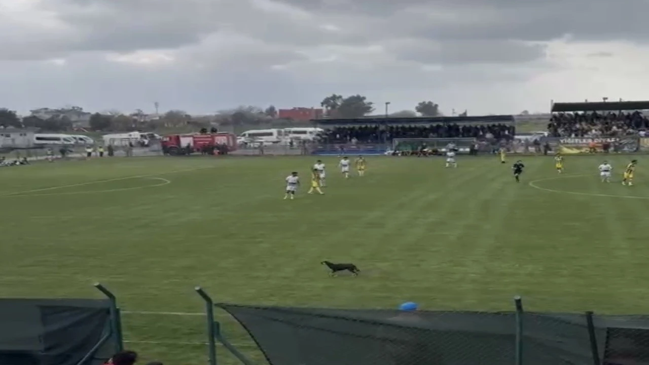 Osmaniyede maça beklenmedik misafir