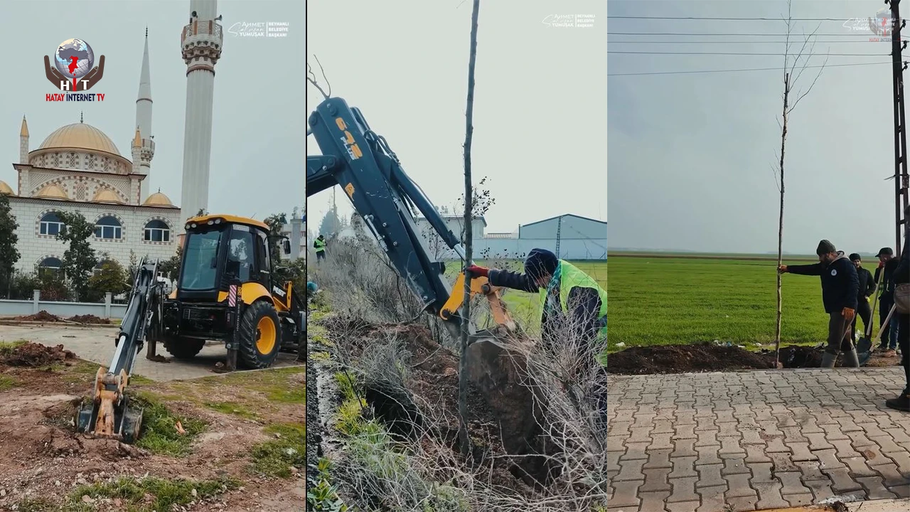 REYHANLI'DA YEŞİLLENDİRME FAALİYETİ