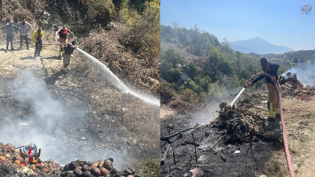 Samandağda bahçede çıkan yangın büyümeden söndürüldü