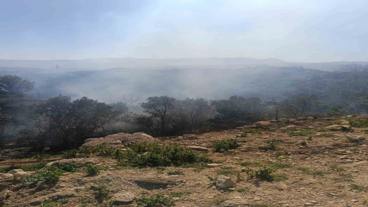 Samandağda ormanlık alanda çıkan yangın kısa sürede kontrol altına alındı