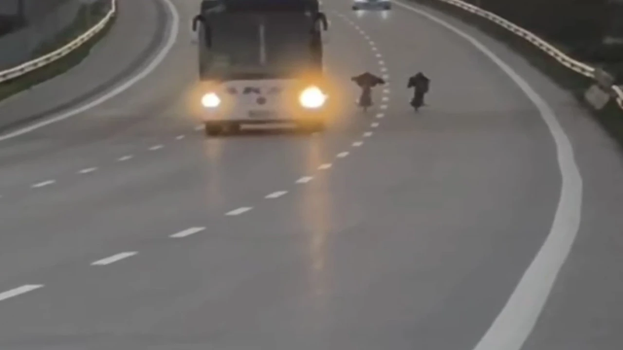 Sosyal medyada paylaşılan yarış pahalıya patladı: 430 bin TL ceza