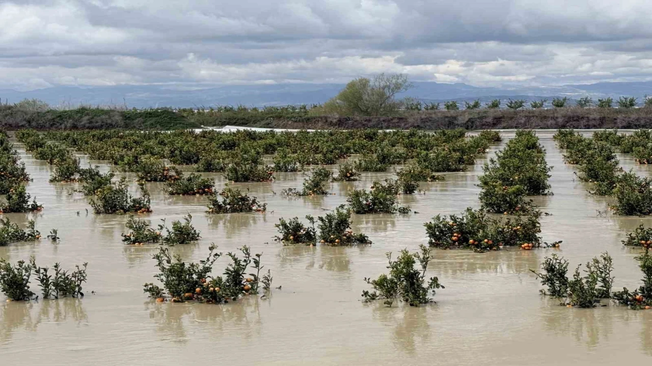 Yağışlar tarım arazilerini vurdu