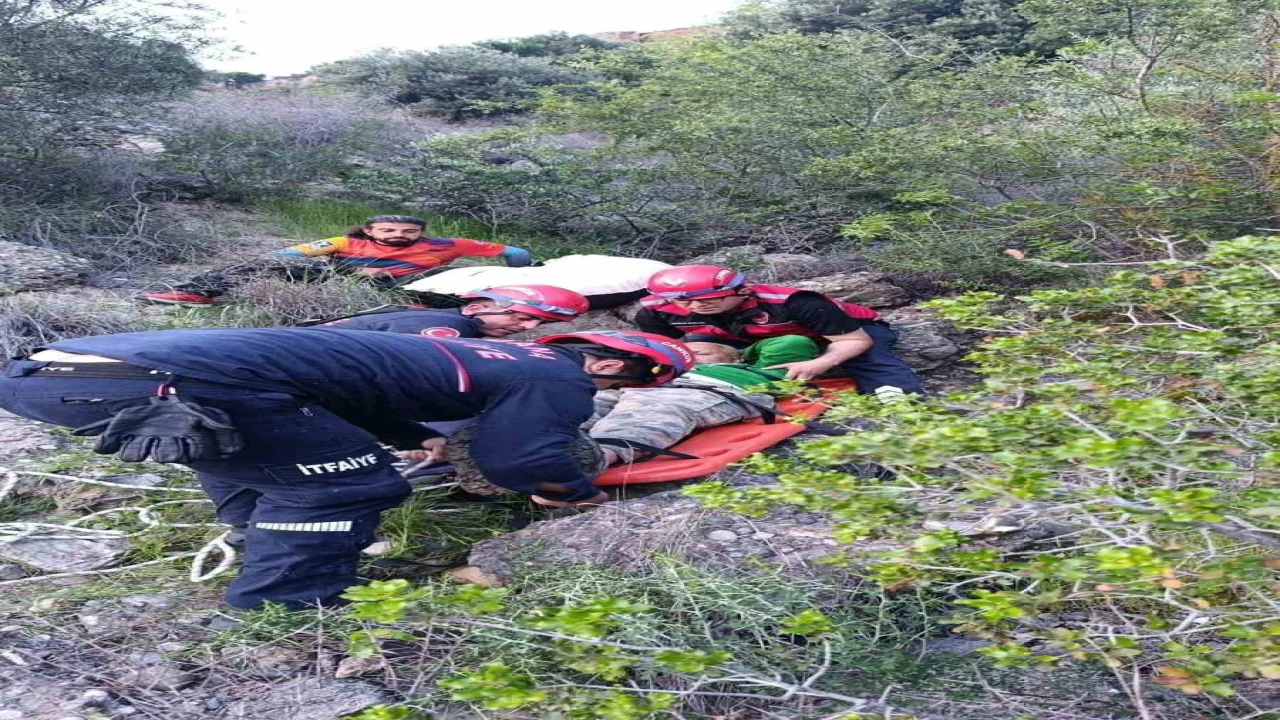 Adanada yamaç paraşütü kazası: Ağaçta mahsur kaldı