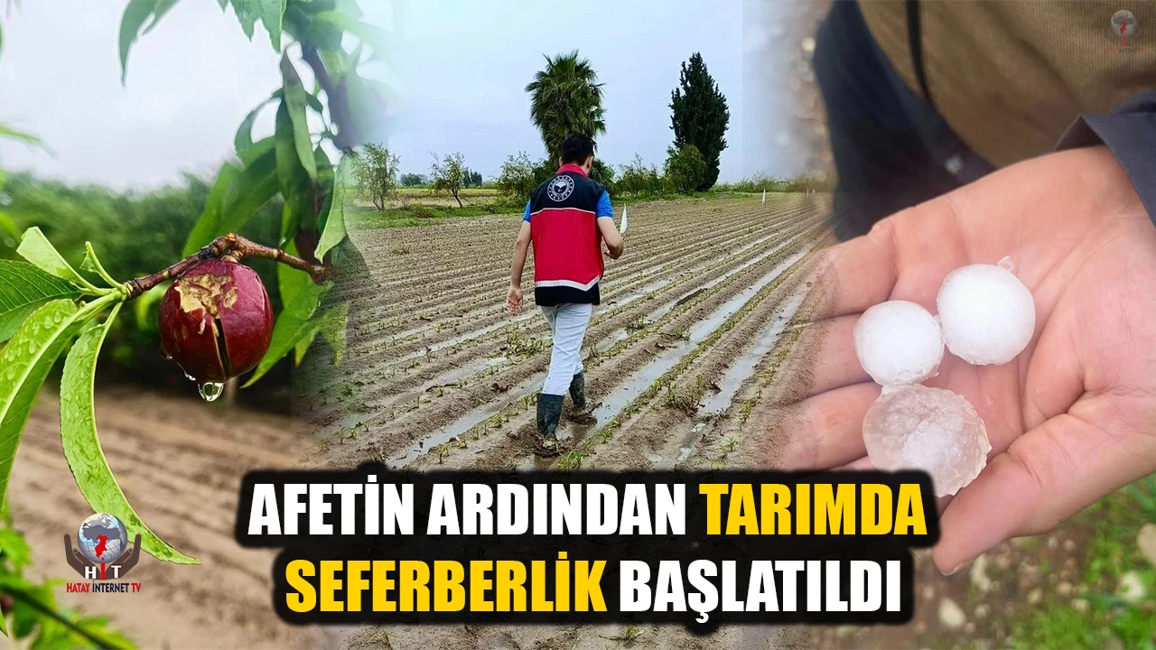 AFETİN ARDINDAN TARIMDA SEFERBERLİK BAŞLATILDI