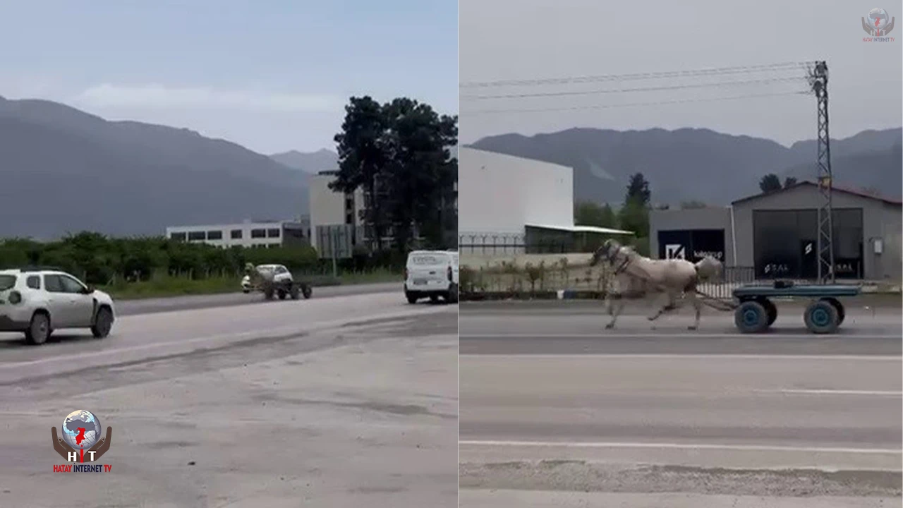 Akan trafikte panik anları: Kaçak at pistte yarışırcasına ilerledi