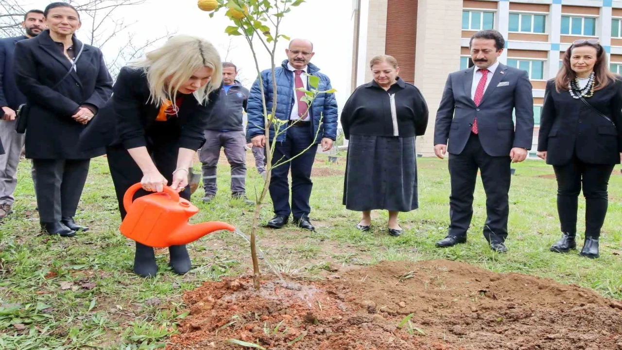 Akdeniz Üniversitesinde son 2 yılda 5 bin fidan dikildi