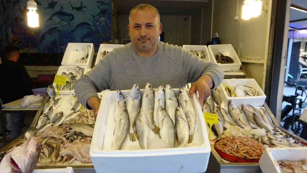 Akdenizde av yasağı başlıyor