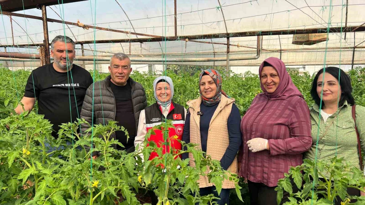 Aksuda örtü altı tarımda yıllık yaklaşık 370 bin tonluk rekoltenin tamamı kadın çiftçilerin emeğiyle üretiliyor