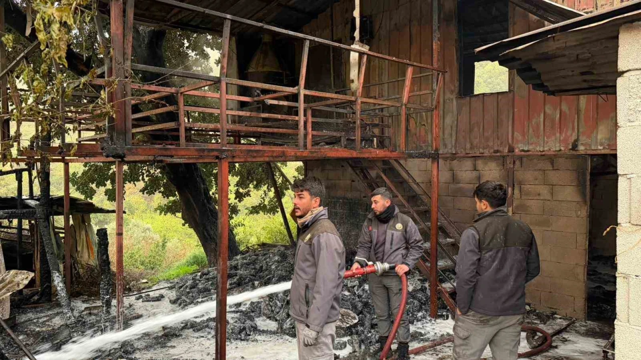 Alanyada müstakil ev yangını korkuttu