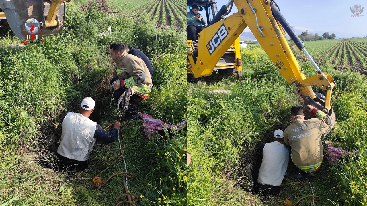 Antakyada kuyuya düşen büyükbaş hayvan kurtarıldı
