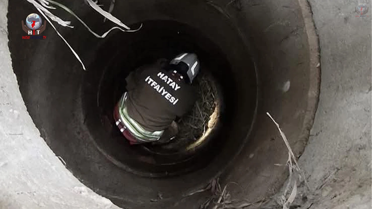 Antakyada kuyuya düşen köpeği itfaiye kurtardı