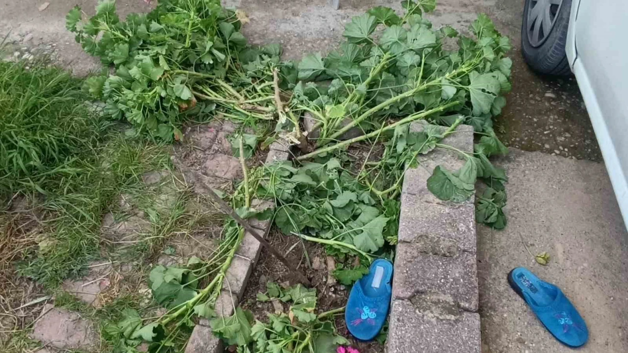 Antalyada küçük çocuk ikinci kattan düştü, olayı kırıklarla atlattı