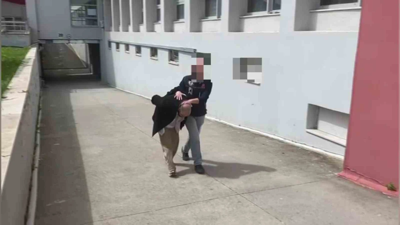 Aracında 825 kilo bonzai yapılacak ham madde yakalattı: Bana ait değil