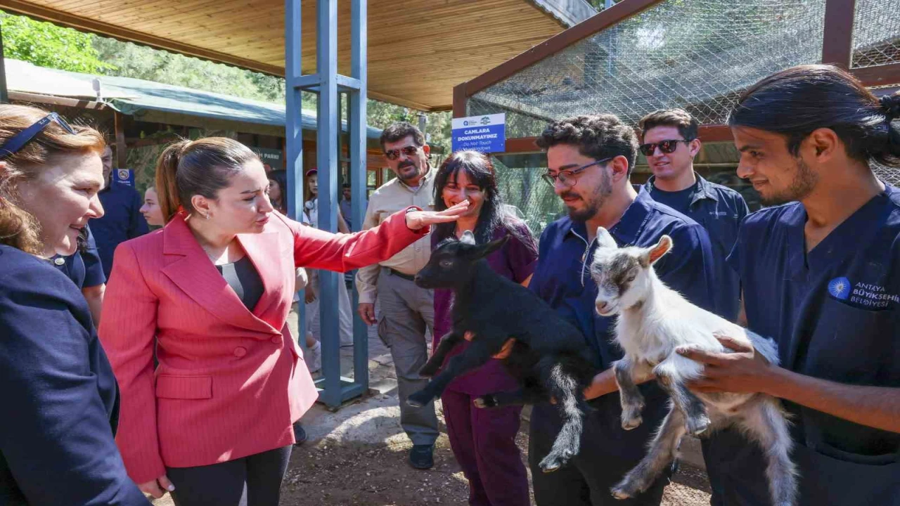 Başkan Vekili Büşra Özdemir: Veteriner hekimlerin üstlendikleri sorumluluk çok kıymetli