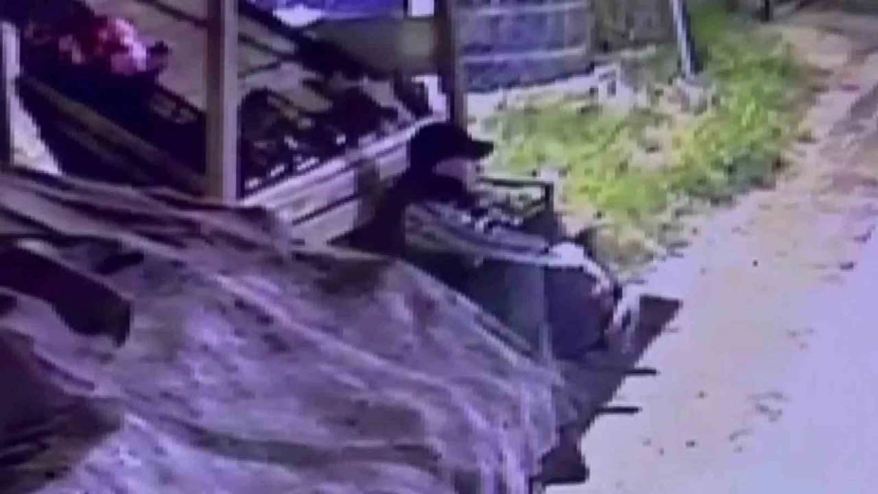 Başkasına ait beğendiği ayakkabıyı çalarken kameralara yakalanan suç makinesi tutuklandı