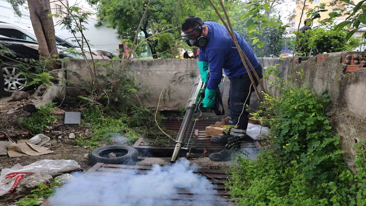 Büyükşehirden sinek üreme alanlarında yoğun çalışma
