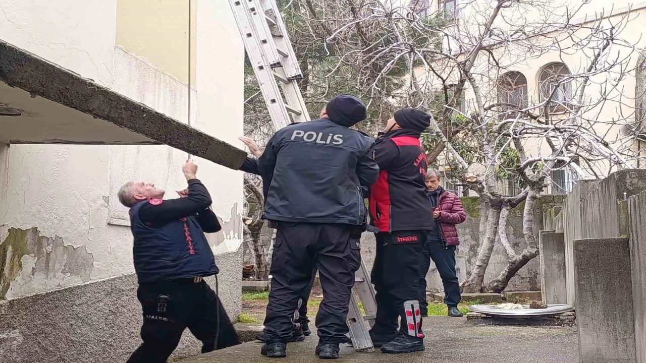 Çatı katında mahsur kalan kediyi polis ve itfaiye kurtardı