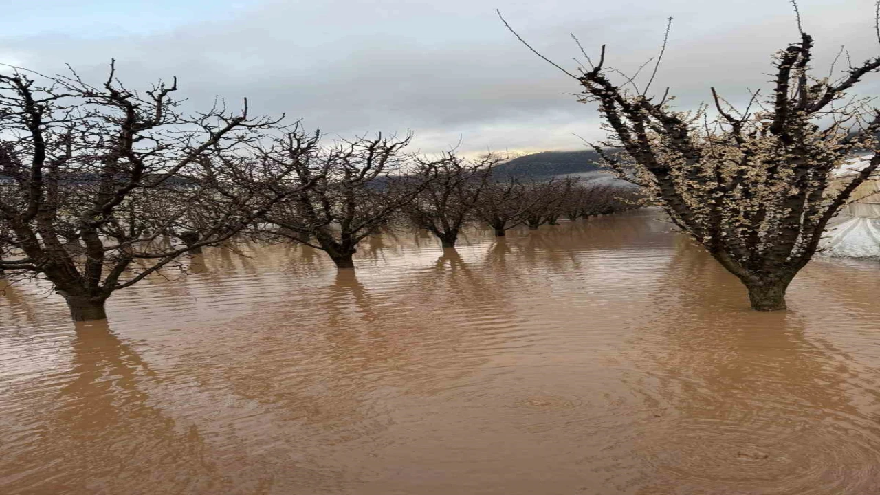 Elmalıda dereler taştı, tarım alanları sular altında kaldı