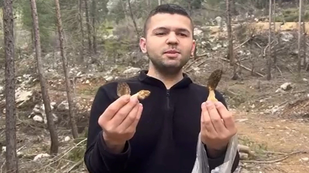 Fekede kuzu göbeği bereketi