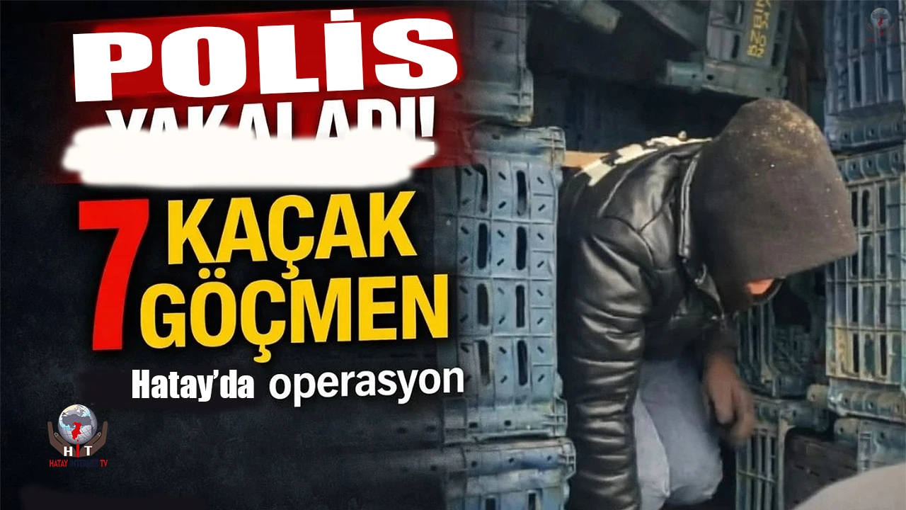 Hatay’da 7 kaçak göçmen yakalandı