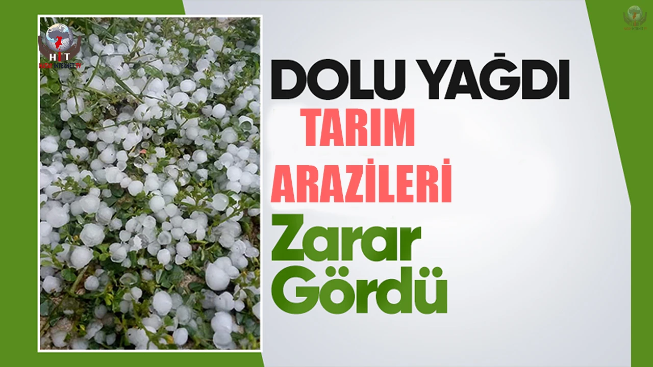 Hatay'da Dolu Zararı: Tarım Arazileri Zarar Gördü