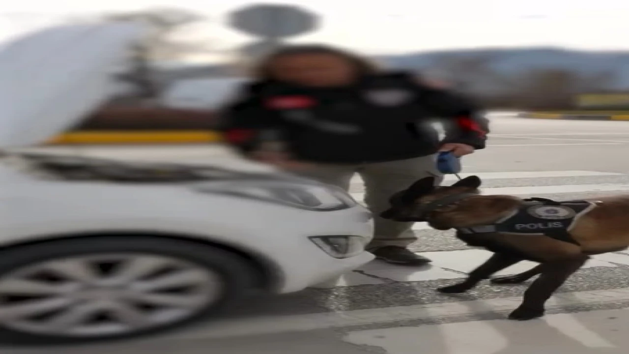 Ispartada 1 haftalık narkotik operasyonlarında 4 şüpheli tutuklandı