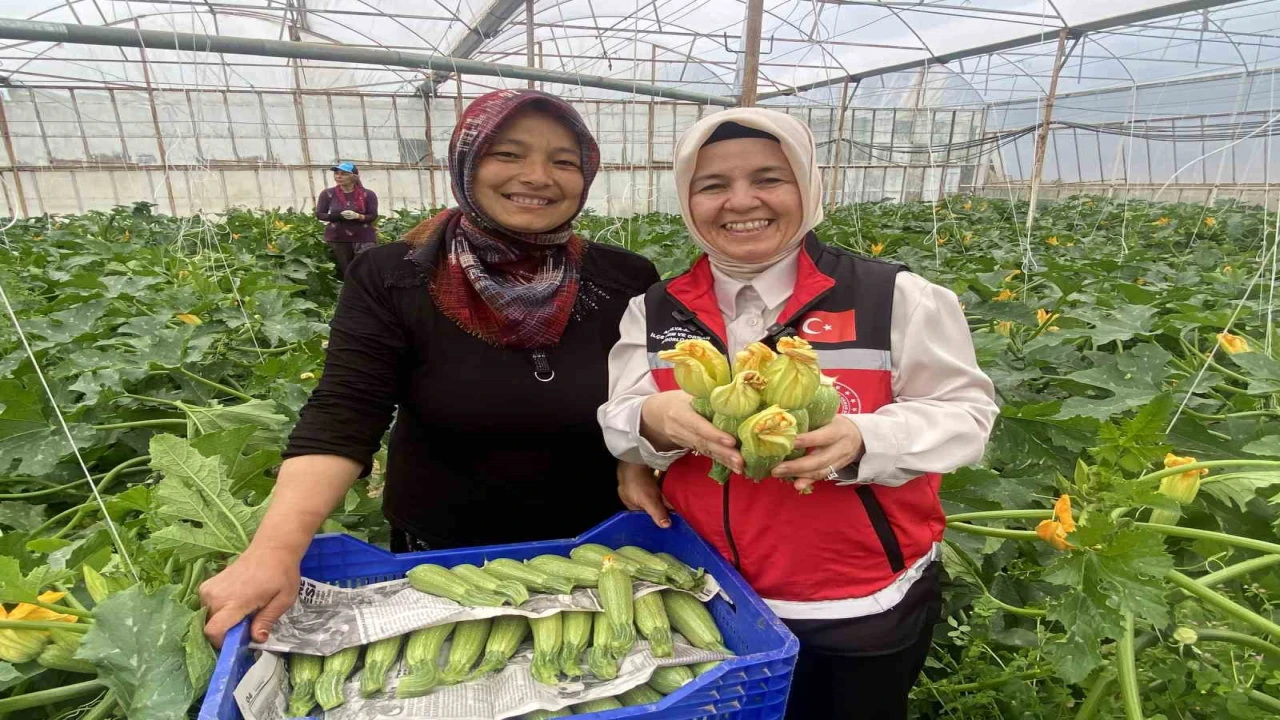 Kadın çiftçi hem üretiyor hem ihraç ediyor hem de pazarda satıyor