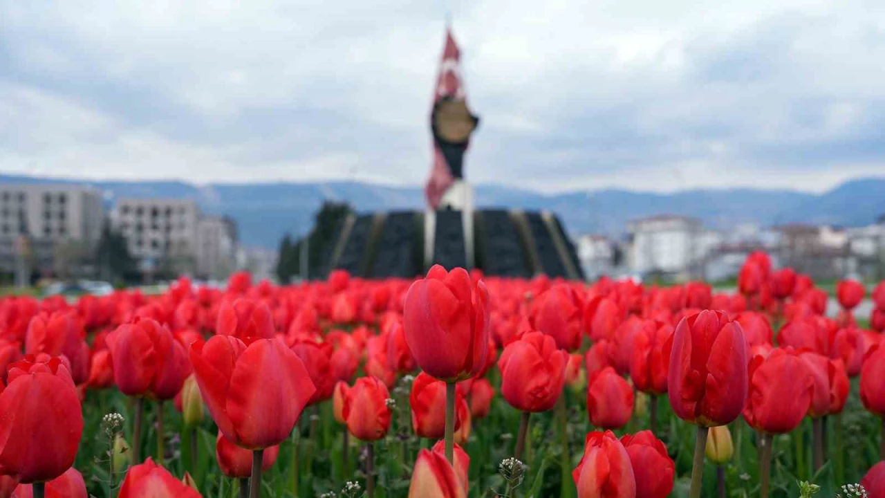 Kahramanmaraşta kavşaklarda görsel şölen