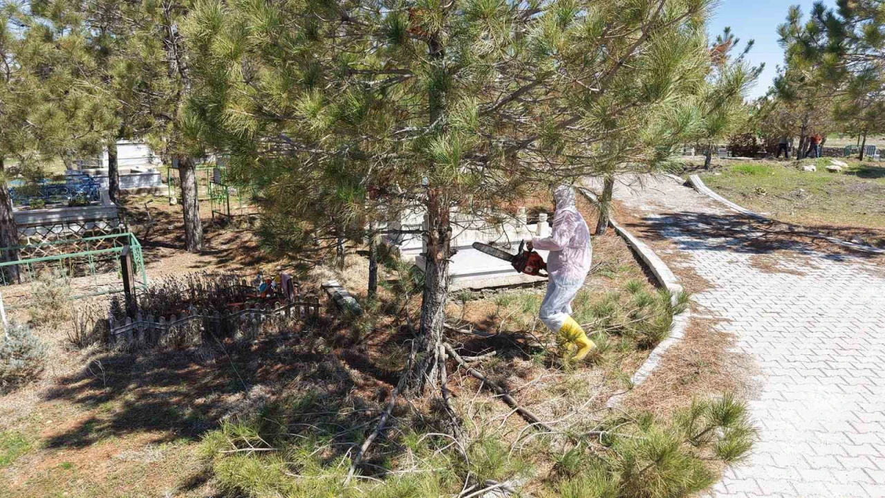 Kahramanmaraşta mezarlıklarda yenileme başladı