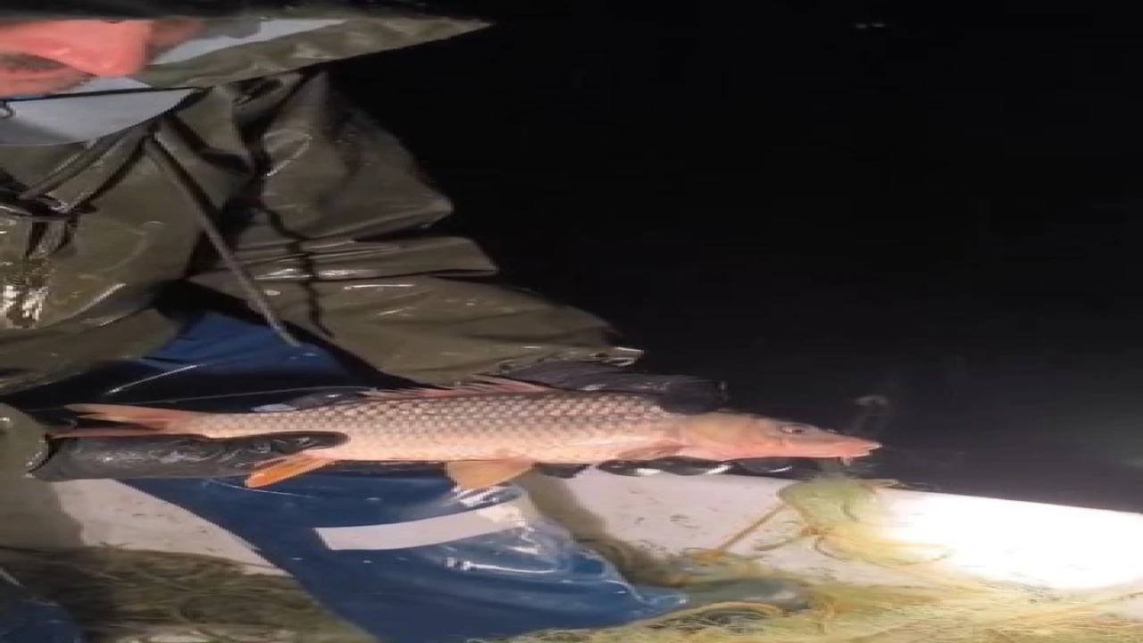 Kovada Gölünde yasa dışı avcılığa geçit yok: Kaçak avcılıkta kullanılan 7 çuval ağa el konulurken, balıklar tekrar göle salındı