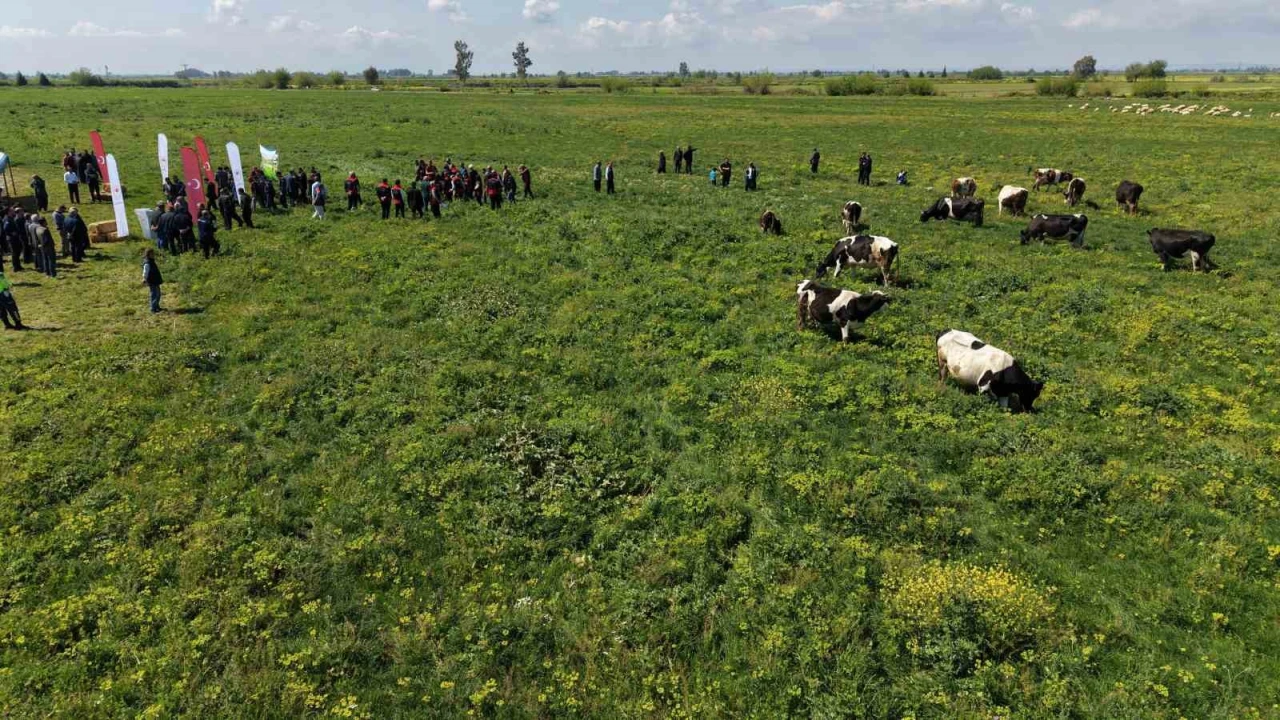 Kozanda ıslah edilen mera alanı dualarla açıldı, sürüler alanda otlamaya başladı