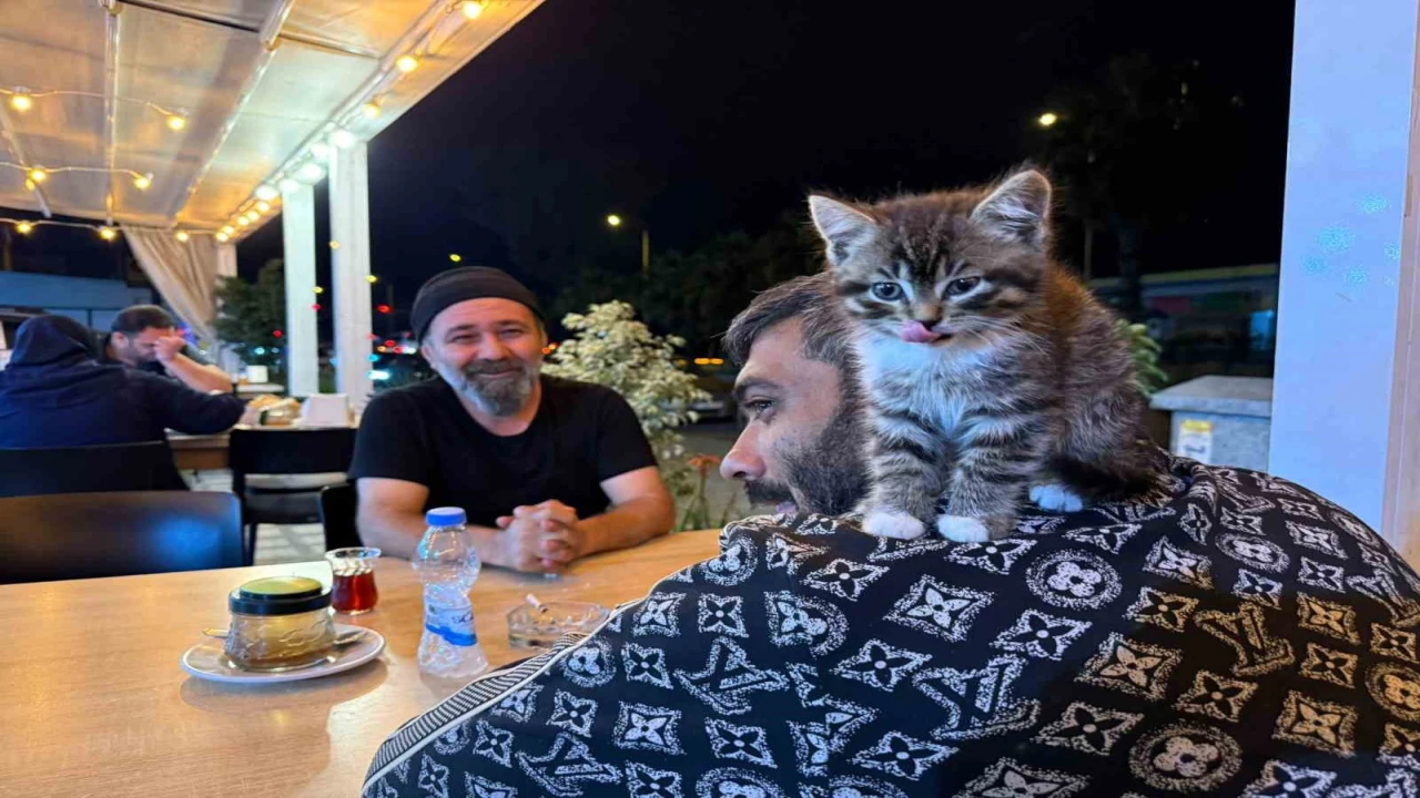 Madde bağımlılığından yavru kedi sayesinde kurtuldu