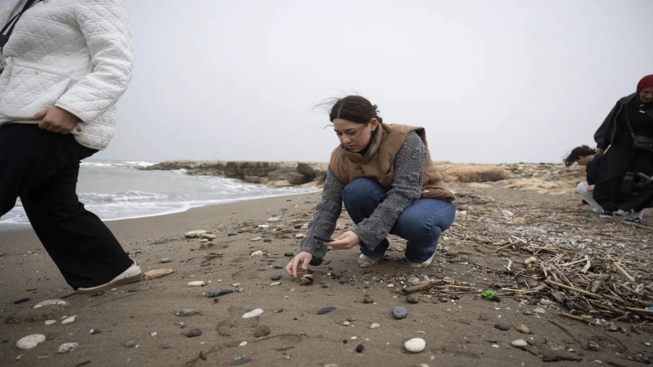 Mersinde biyoçeşitlilik için sahaya indiler