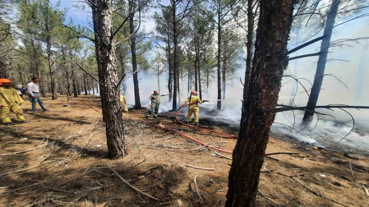Mersinde orman yangınlarına karşı tatbikat yapıldı