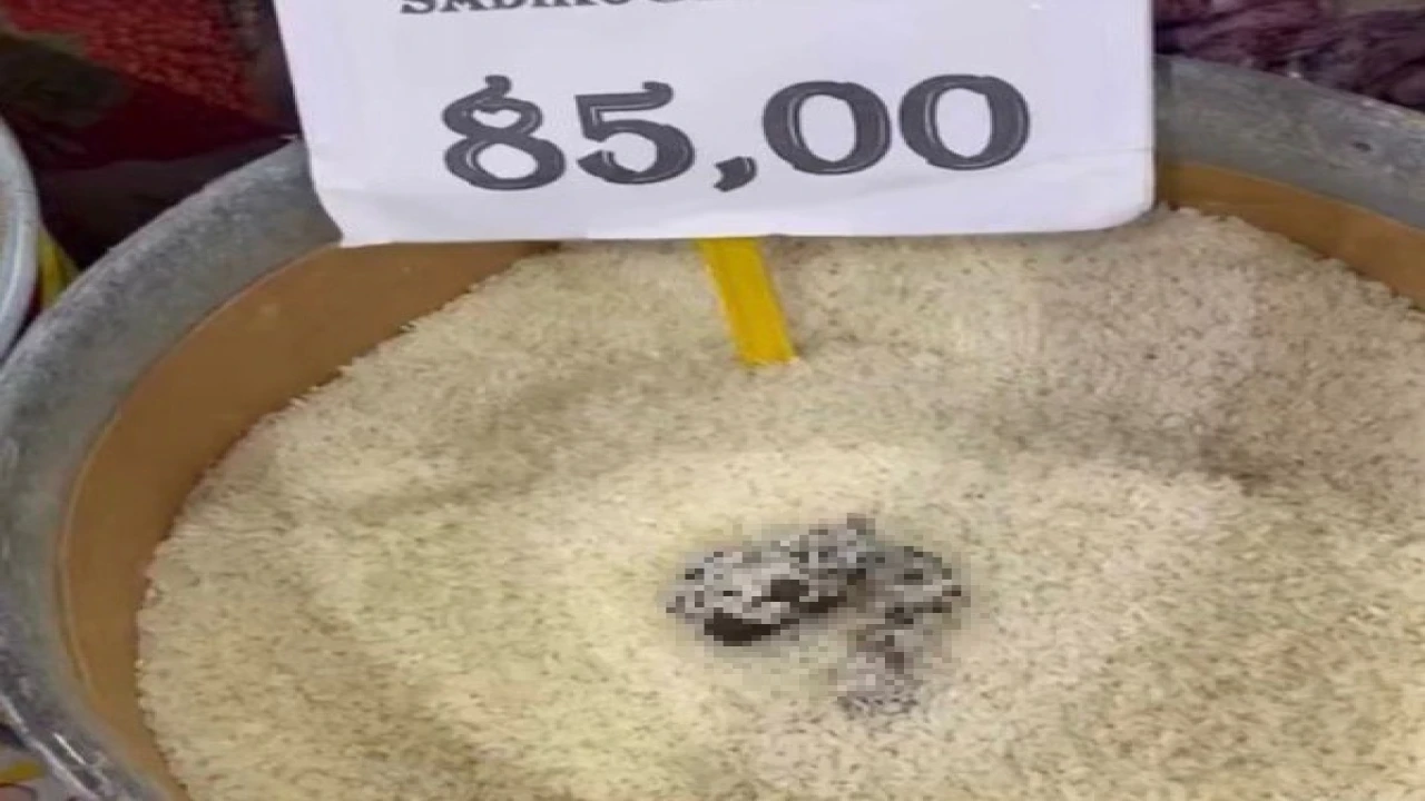 Mersinde skandal görüntü: Pirinçten kedi dışkısı çıkan markete ceza