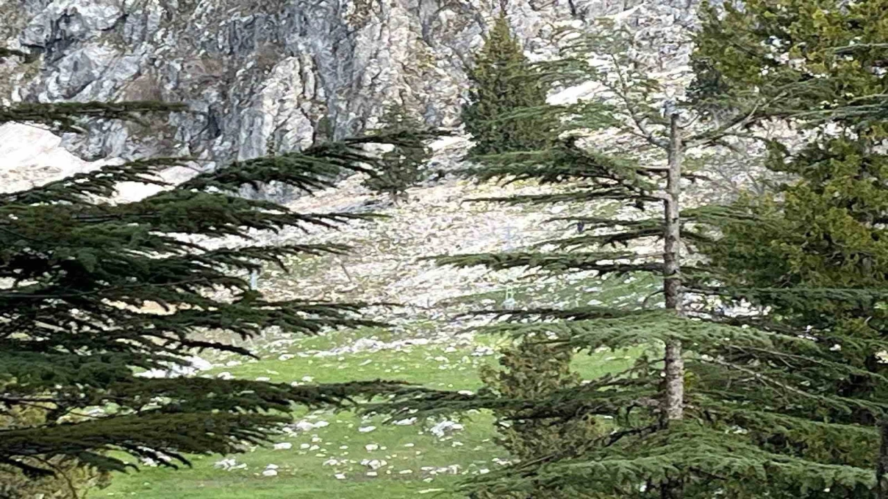 Osmaniyede kayalıklardan düşen adam hayatını kaybetti