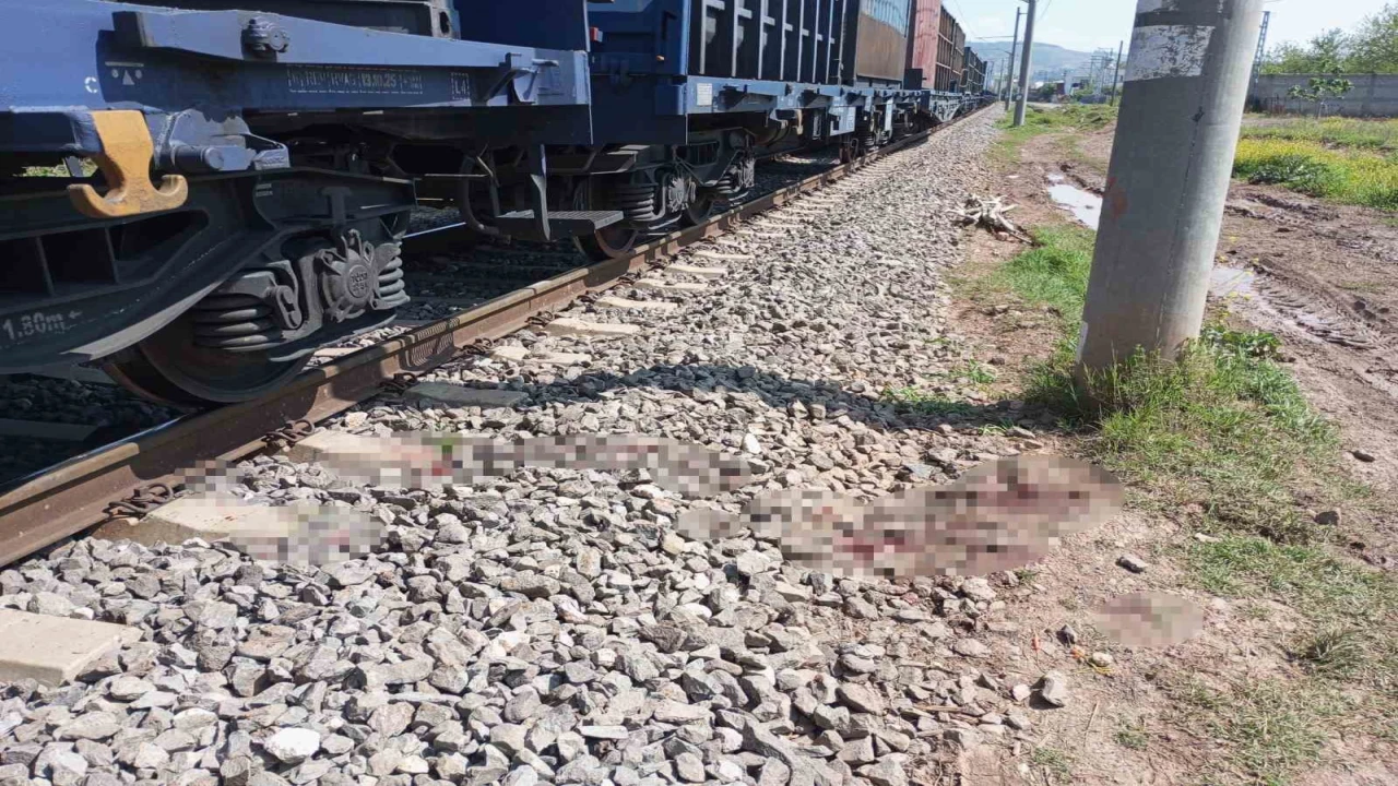 Osmaniyede yük treninin çarptığı kişi yaralandı