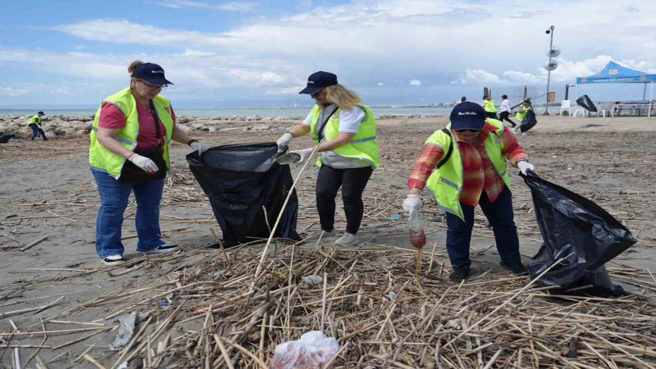 Tarsusta kaplumbağalar için seferberlik