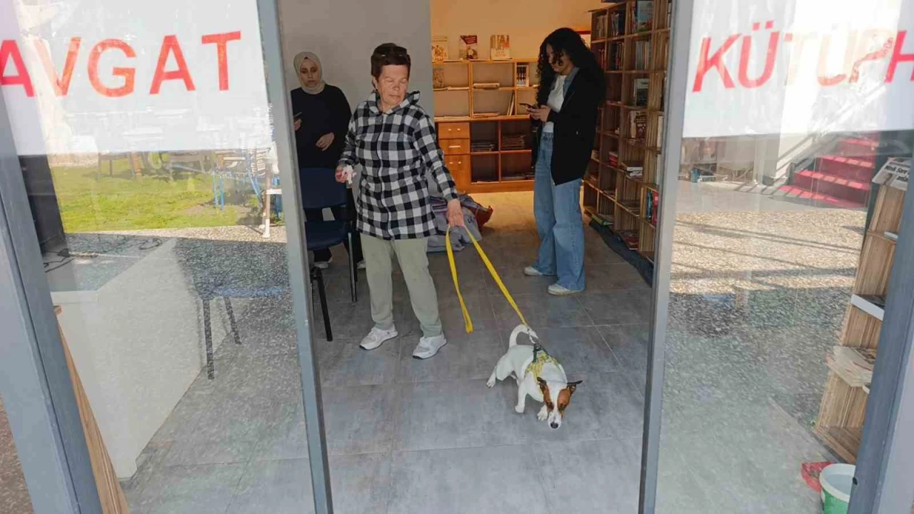 Ukraynalı kadın hayatının şokunu yaşadı, kurt köpeğiyle dalaşan kucağındaki köpeği parmağını parçaladı