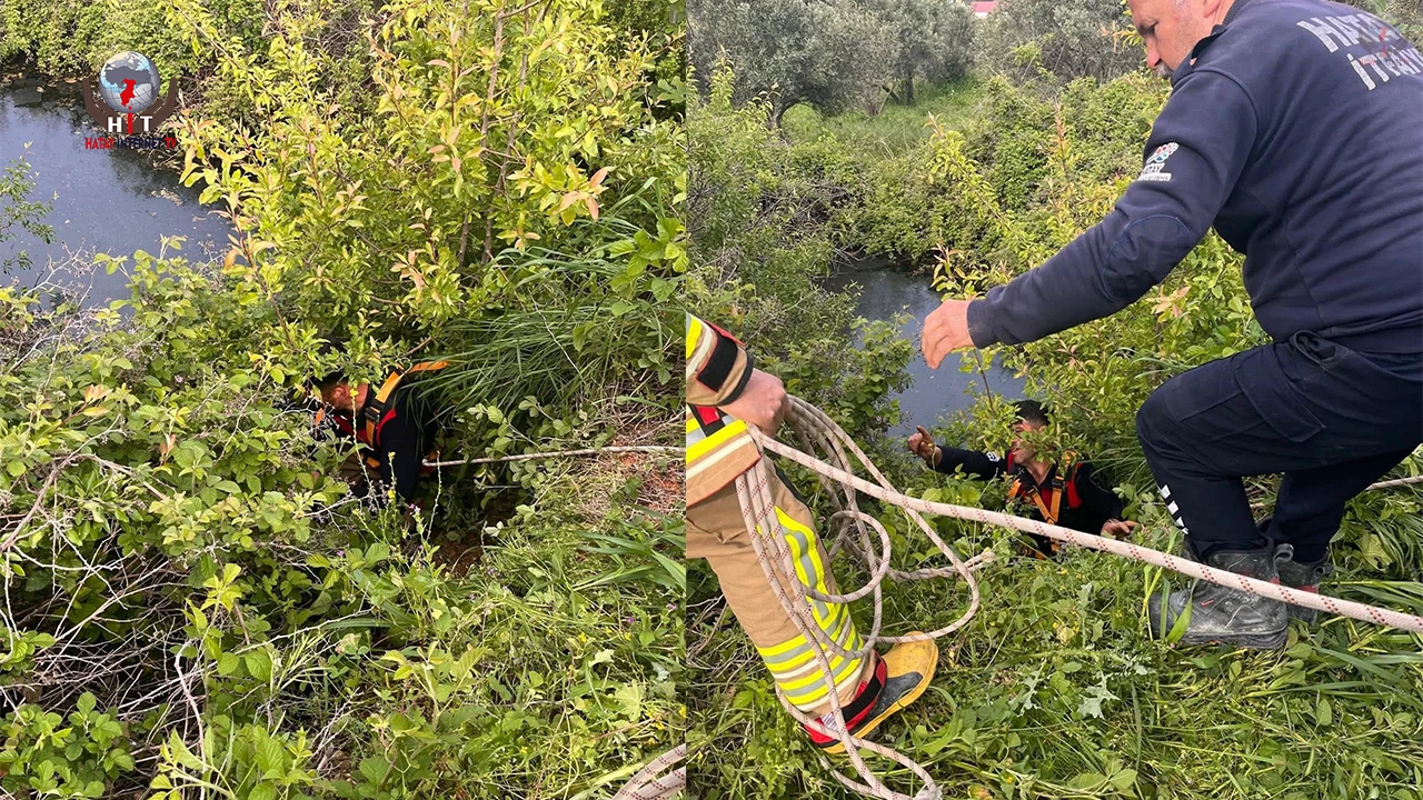 Yayladağında gölete düşen büyükbaş hayvan kurtarıldı