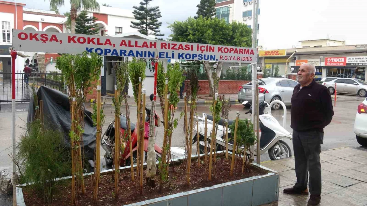Annesinin çok sevdiği çiçeği, iş yerinin önünde mezarı andıran alanda 40 yıldır yaşatıyor