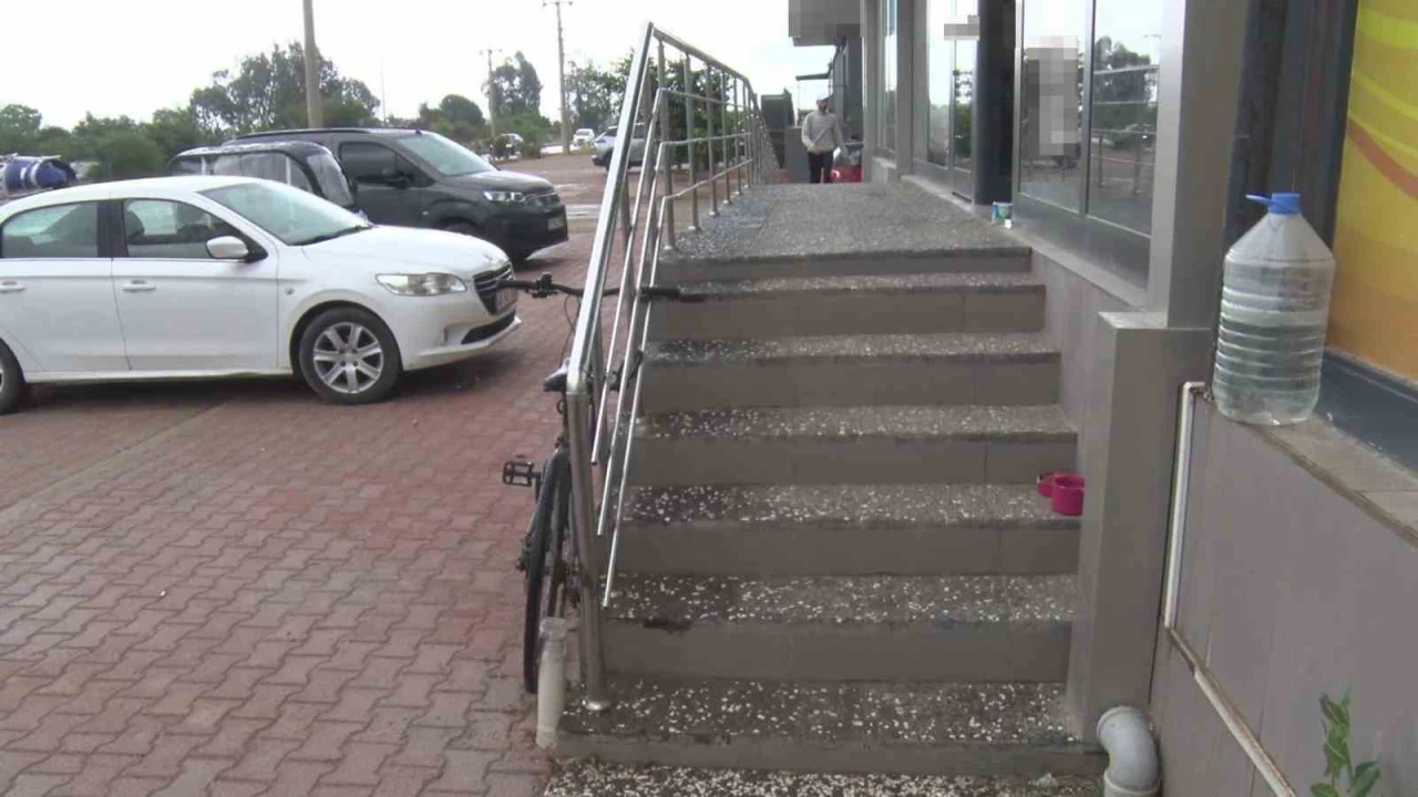 Antalyada yabancı uyruklu şahıs kedinin üzerine bastı, köpeği tekmeledi