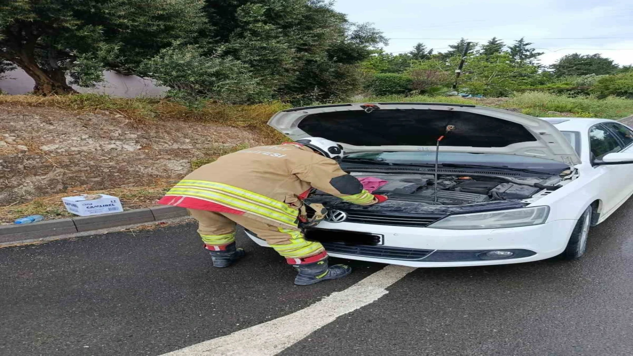 Arsuzda otomobilin motoruna giren kediler kurtarıldı
