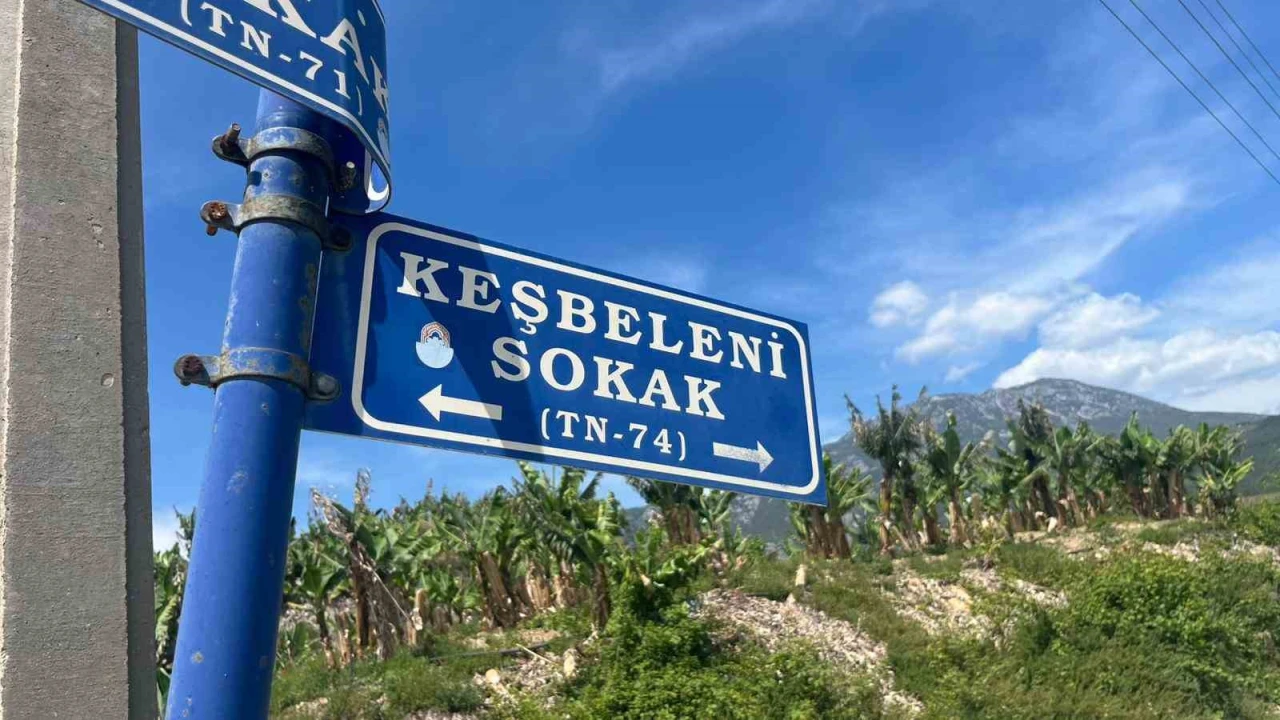 Belediye çalışanlarından örnek davranış: Çöp konteynerinde ölüme terk edilen kaplumbağayı kurtardılar