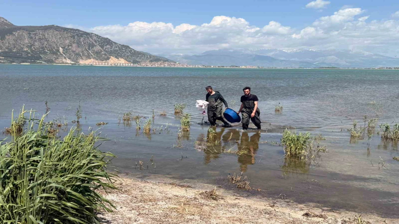 Eğirdir Gölünde 100 metrelik yasa dışı ağ ele geçirildi
