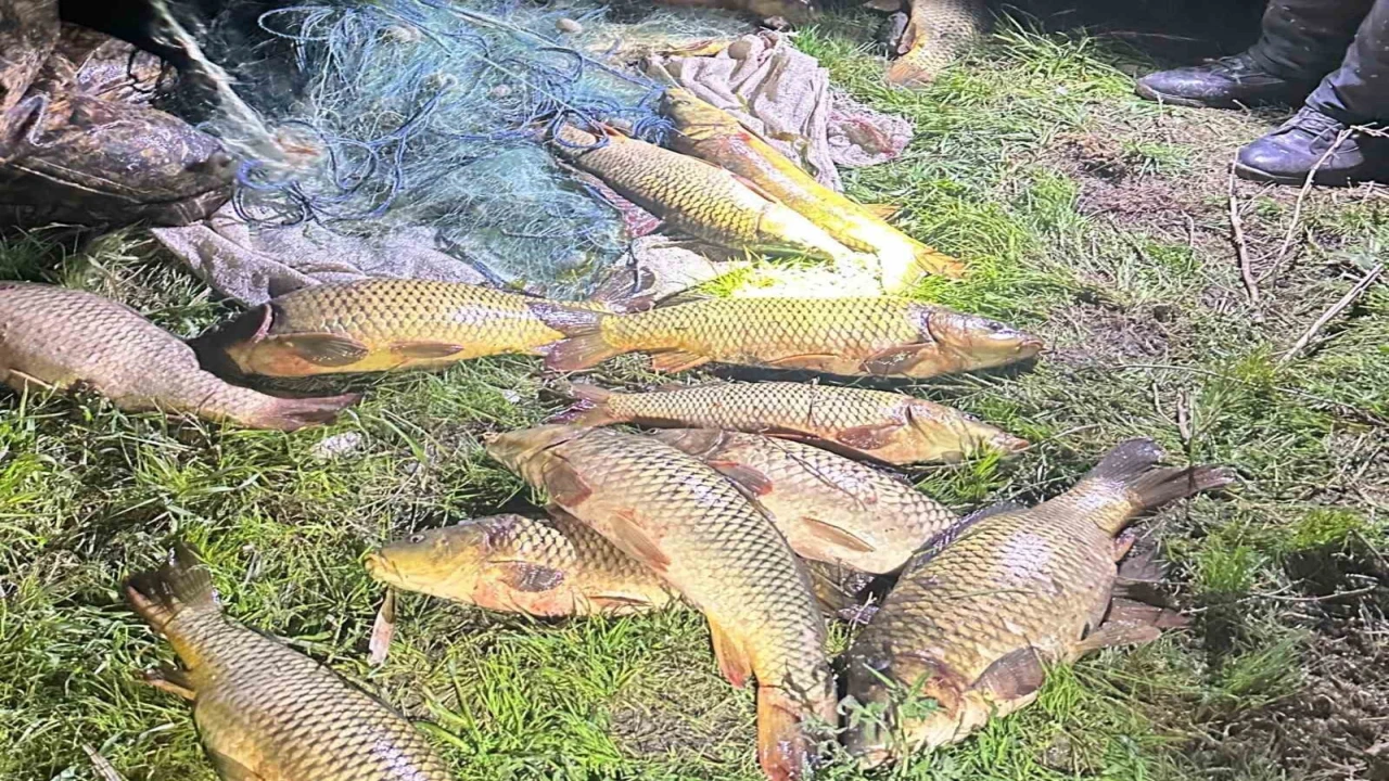 Eğirdir Gölünde kaçak avcılara suçüstü: 100 kilo sazan yeniden göle bırakıldı
