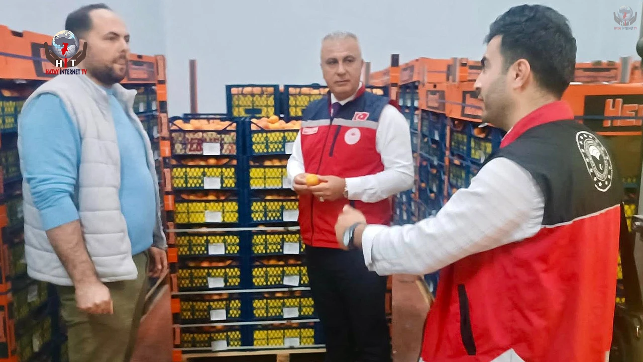 HATAY’DA KAYISI İHRACATINDA SEZON HAREKETLİLİĞİ BAŞLADI
