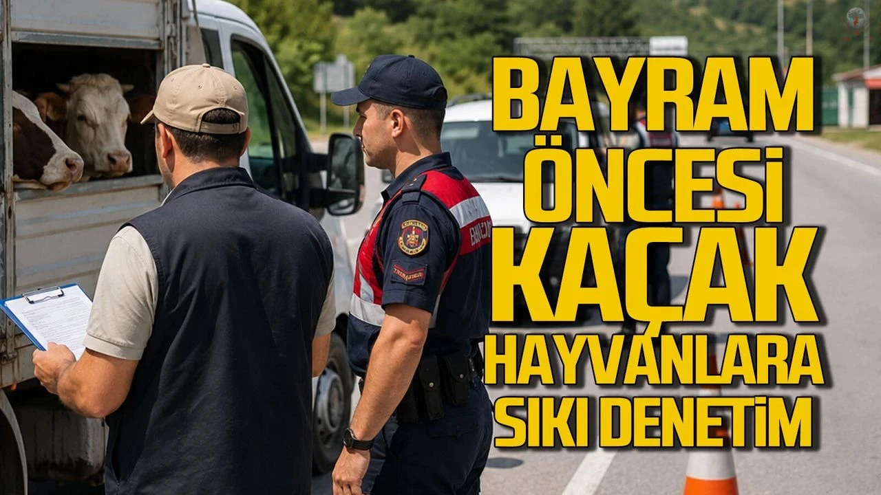 Hatayda Kurban Bayramı öncesi hayvan sevkiyatlarına sıkı denetim