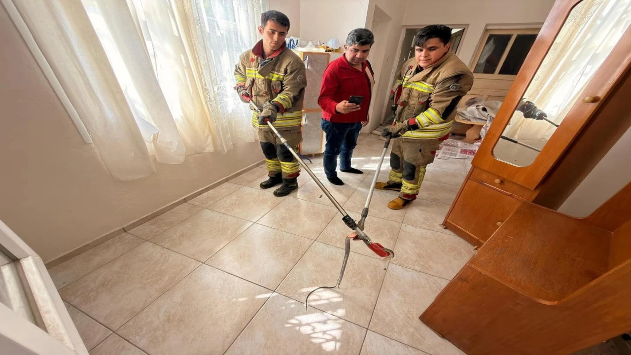 İskenderunda eve giren yılanı itfaiye yakaladı